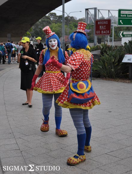 Grass Picnic Sydney Harbour Bridge Clown