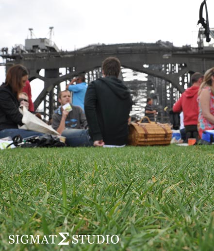 Grass Picnic Sydney Harbour Bridge